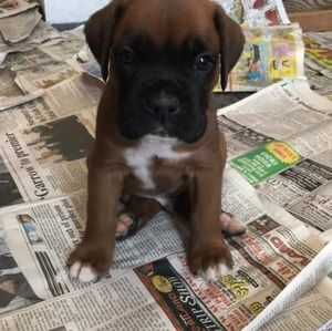 Meet your Posher, Tara